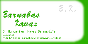 barnabas kavas business card